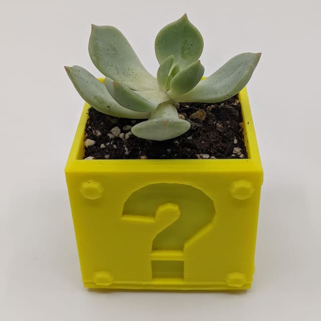 Yellow 3D-printed Super Mario question-block planter holding a small green succulent