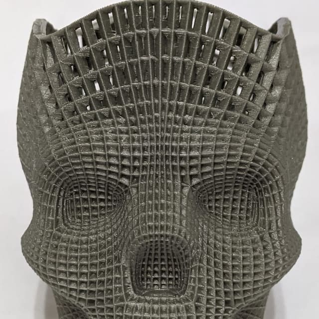 Life-size 3D-printed skull rendered as an open gray wireframe lattice