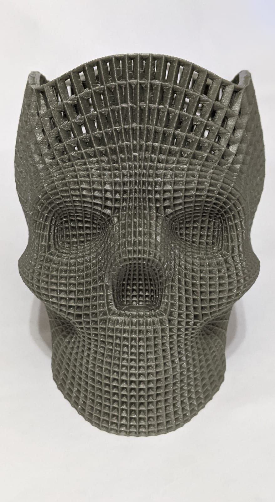 Life-size 3D-printed skull rendered as an open gray wireframe lattice